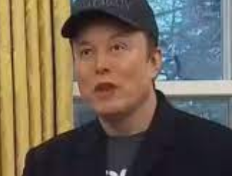 WH: Musk Not a DOGE Employee, Has No Authority to Make Decisions